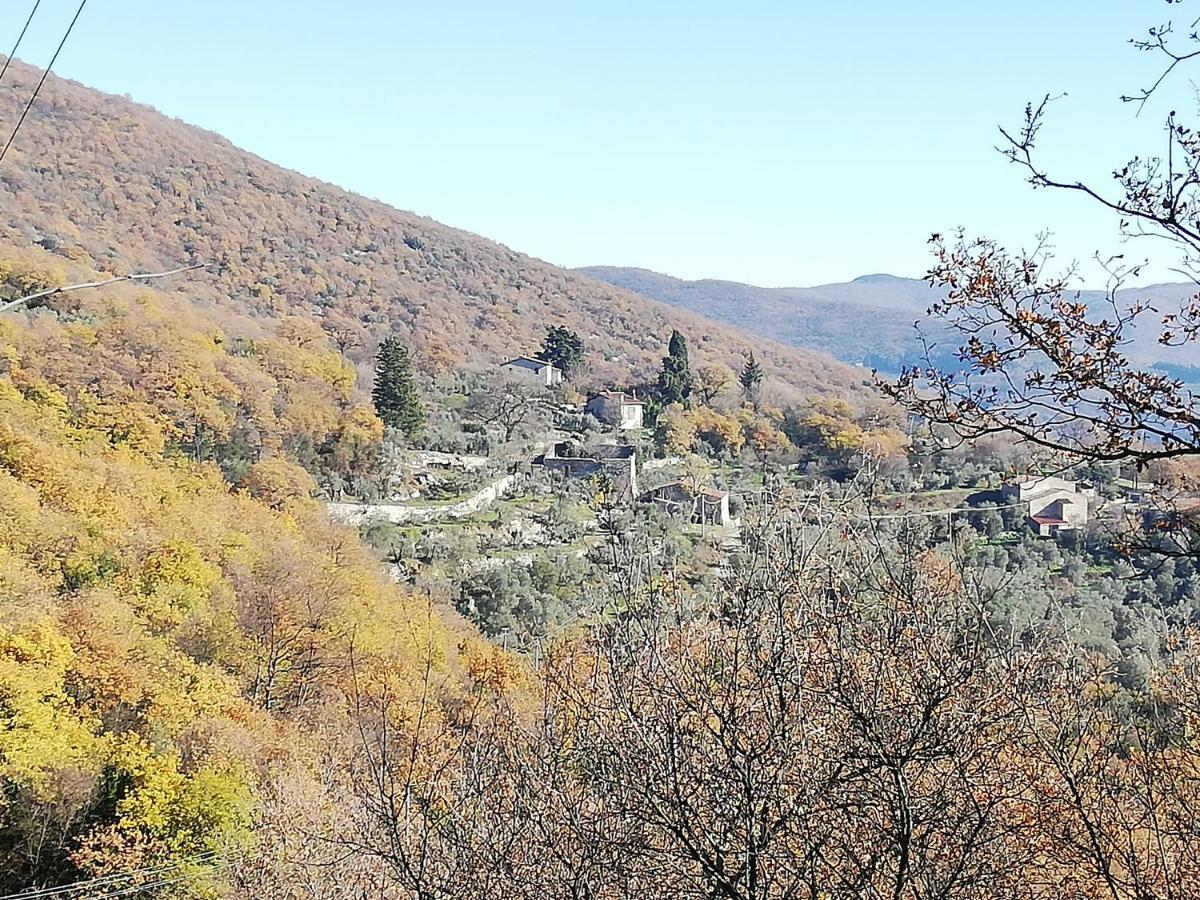 Agriturismo Casamatta Azienda Agricola Каленцано Екстер'єр фото