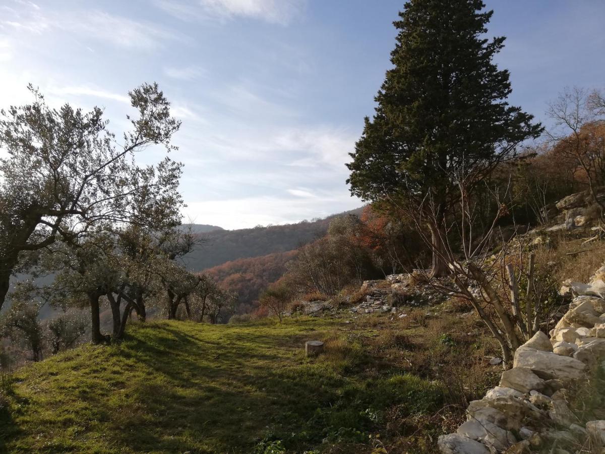 Agriturismo Casamatta Azienda Agricola Каленцано Екстер'єр фото